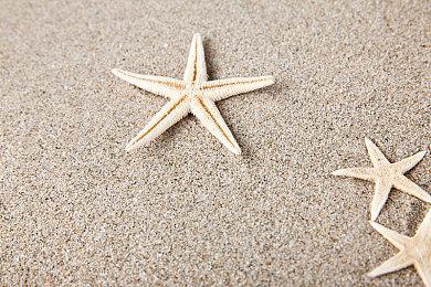 知名桌游发行商Paizo：旗下作品禁用AI文本及绘图